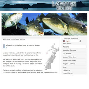 Lofoten-Viking website designed by Byron Bay Interactive